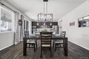 11195 Cinch Wy, Parker, CO 80134 - Photo 15