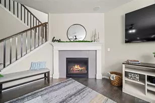 11195 Cinch Wy, Parker, CO 80134 - Photo 9