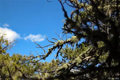 71, 72, 73 Horseshoe Trail, San Luis, CO 81152 - Photo 31