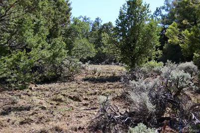 71, 72, 73 Horseshoe Trail, San Luis, CO 81152 - Photo 9