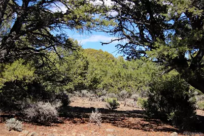 71, 72, 73 Horseshoe Trail, San Luis, CO 81152 - Photo 35