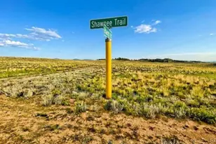 10341 Caddo Rd, Hartsel, CO 80449 - Photo 1
