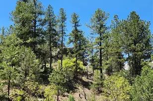 102 Kevin Dr, Cotopaxi, CO 81223 - Photo 1