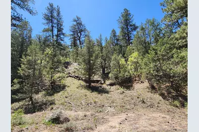 102 Kevin Drive, Cotopaxi, CO 81223 - Photo 3