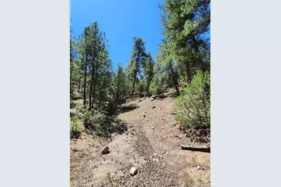 102 Kevin Drive, Cotopaxi, CO 81223 - Photo 19