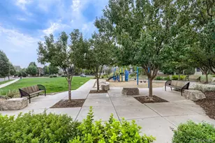 2230 Tamarac St, Denver, CO 80238 - Photo 17