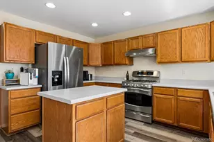 10534 Westcliff Pl, Highlands Ranch, CO 80130 - Photo 15