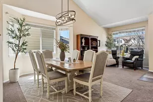 10534 Westcliff Pl, Highlands Ranch, CO 80130 - Photo 7