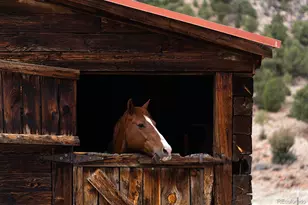 7200 State Hwy 69, Cotopaxi, CO 81223 - Photo 47