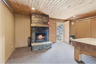 201 Olde Carter Lake Road, Golden, CO 80403 - Photo 23