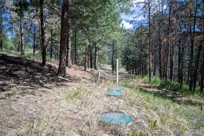 14850 Quandary Peak Road, Pine, CO 80470 - Photo 5