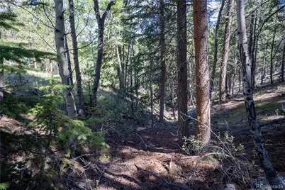 14850 Quandary Peak Road, Pine, CO 80470 - Photo 25