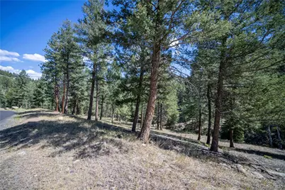 14850 Quandary Peak Road, Pine, CO 80470 - Photo 27