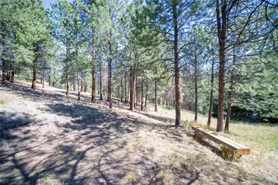 14850 Quandary Peak Road, Pine, CO 80470 - Photo 17