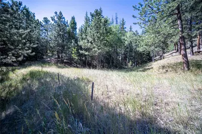 14850 Quandary Peak Road, Pine, CO 80470 - Photo 21