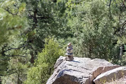 14850 Quandary Peak Road, Pine, CO 80470 - Photo 29