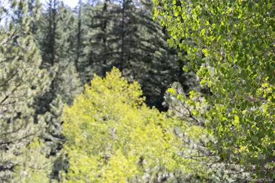 14850 Quandary Peak Road, Pine, CO 80470 - Photo 31
