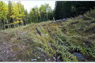 429 Sawmill Lane, Idaho Springs, CO 80452 - Photo 23