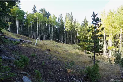 429 Sawmill Lane, Idaho Springs, CO 80452 - Photo 21