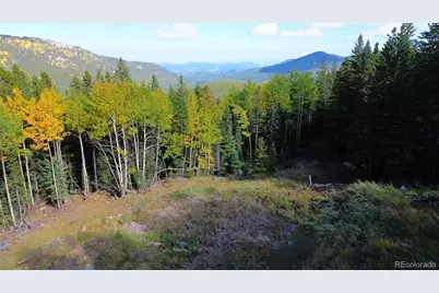 429 Sawmill Lane, Idaho Springs, CO 80452 - Photo 3