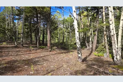 5878 Loubier Road, Fort Garland, CO 81133 - Photo 13