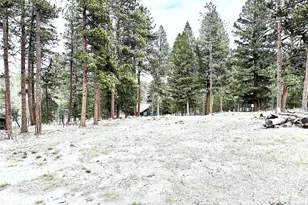 252 Beaver Trail, Bailey, CO 80421 - Photo 1