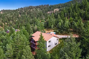 1005 Estes Park Estates Dr, Lyons, CO 80540 - Photo 39
