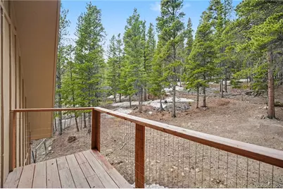 201 Silver Creek Road, Idaho Springs, CO 80452 - Photo 11