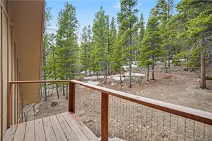 201 Silver Creek Rd, Idaho Springs, CO 80452 - Photo 11