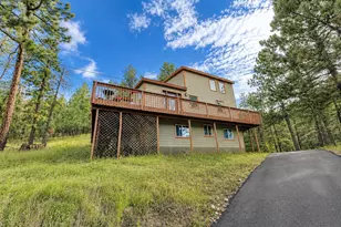 1423 Roland Dr, Bailey, CO 80421 - Photo 3