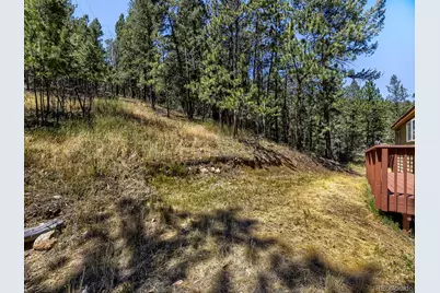 1423 Roland Drive, Bailey, CO 80421 - Photo 25