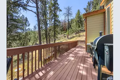 1423 Roland Drive, Bailey, CO 80421 - Photo 23
