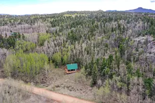 454 Eagle Rock Rd, Florissant, CO 80816 - Photo 37