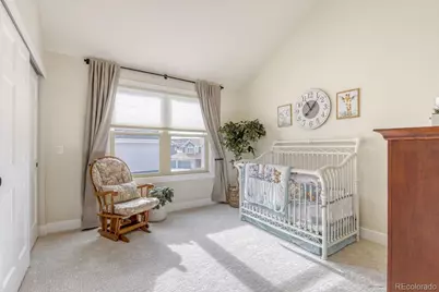 10048 Cottoncreek Drive, Highlands Ranch, CO 80130 - Photo 25