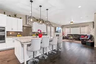 9496 Mount Jackson St, Littleton, CO 80125 - Photo 3