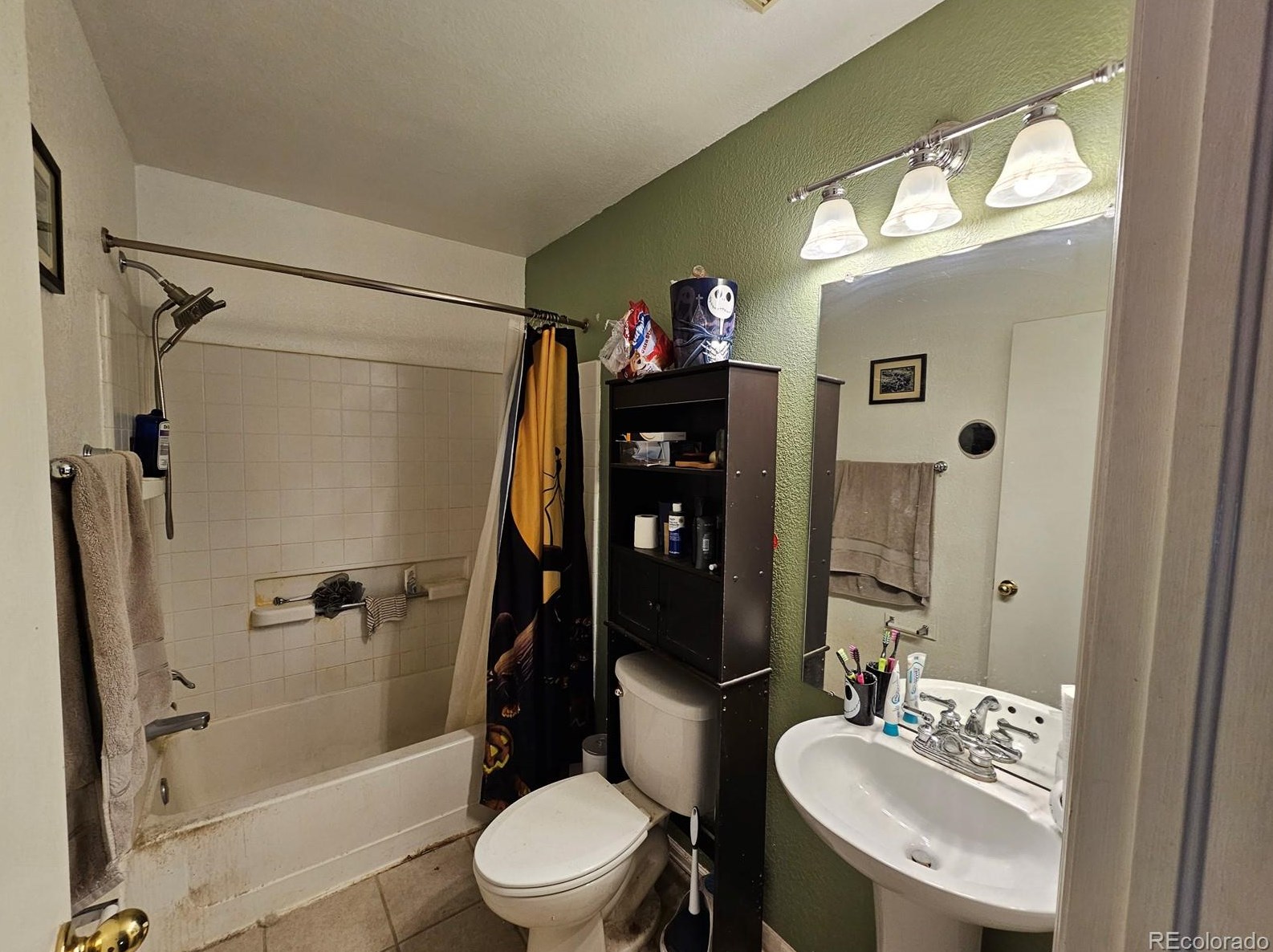 872 Mockingbird Ln, Denver CO  80601-7353 exterior