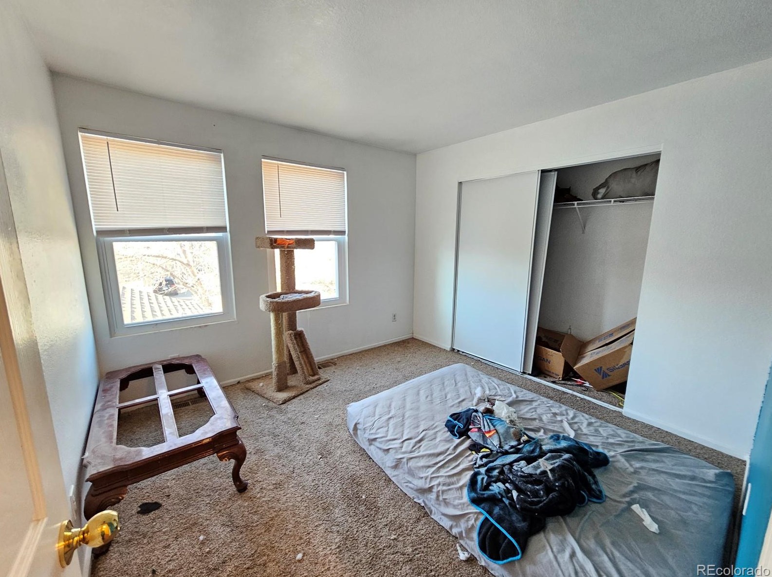 872 Mockingbird Ln, Denver CO  80601-7353 exterior
