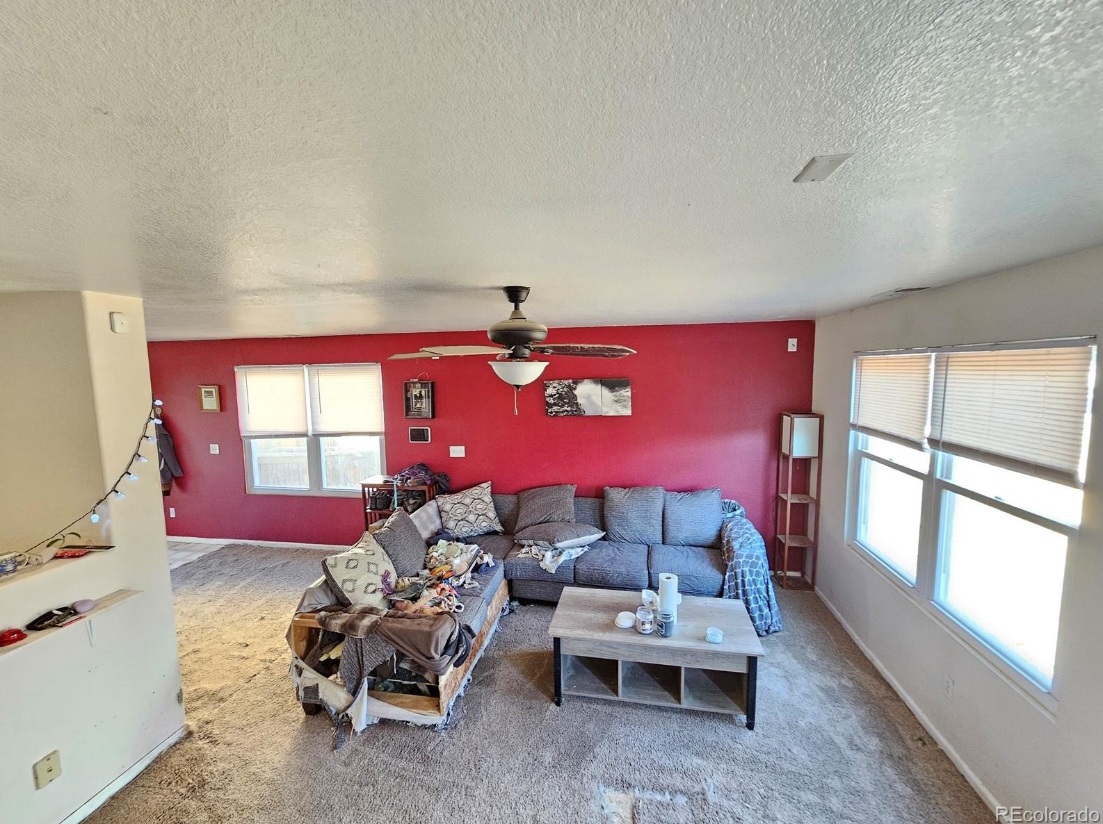 872 Mockingbird Ln, Denver CO  80601-7353 exterior