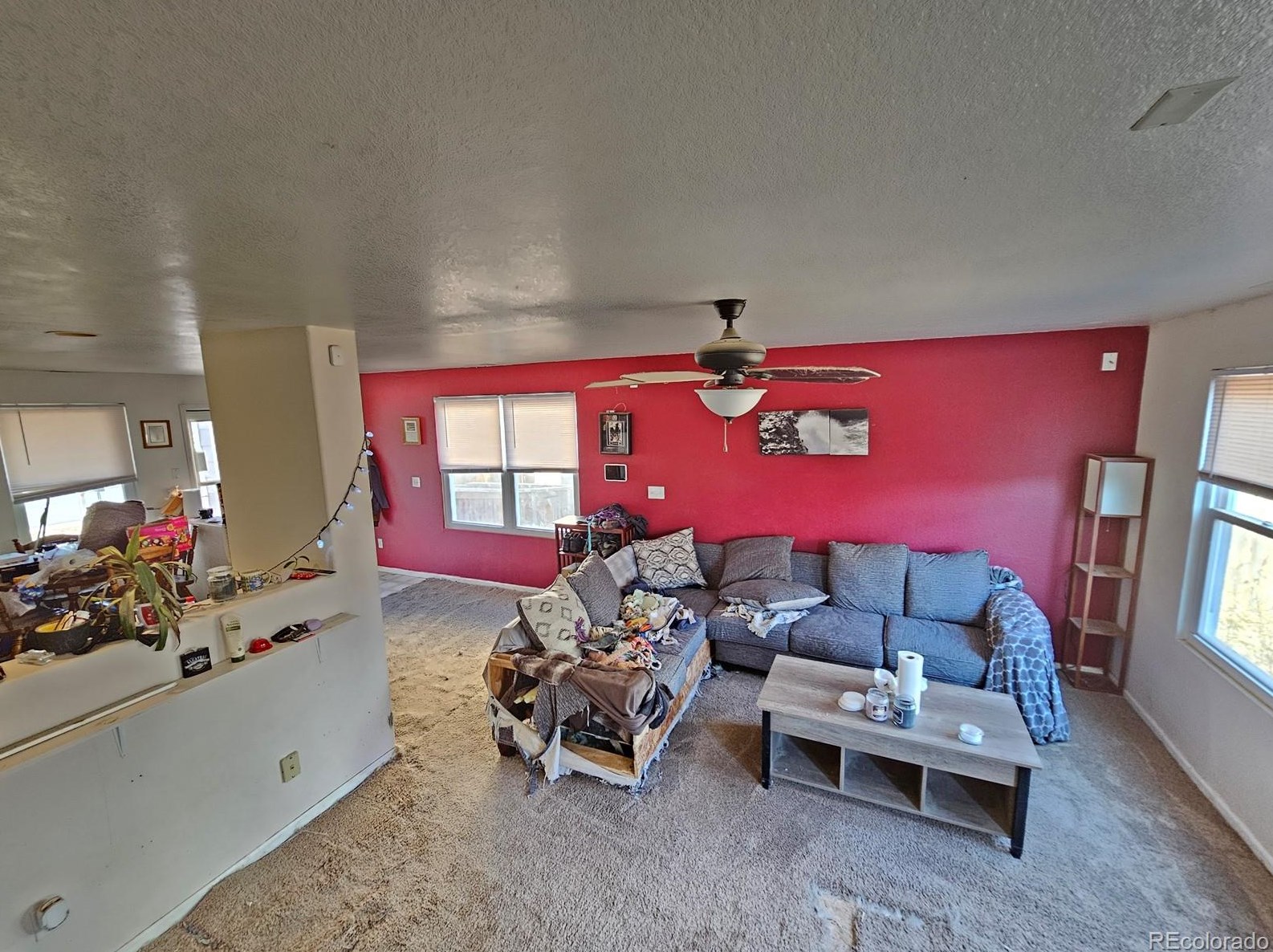 872 Mockingbird Ln, Denver CO  80601-7353 exterior