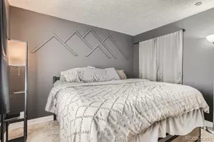 11050 Harlan St, Westminster, CO 80020 - Photo 9