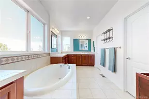 2644 Pemberly Ave, Highlands Ranch, CO 80126 - Photo 21
