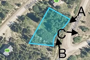 000 Nebraska Dr, Idaho Springs, CO 80452 - Photo 1