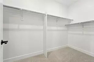 1672 Fox Trotter Pt, Castle Rock, CO 80104 - Photo 19