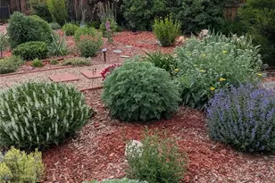 6253 W Caley Ave, Littleton, CO 80123 - Photo 39