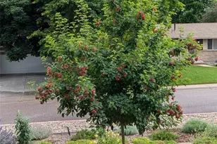 6253 W Caley Ave, Littleton, CO 80123 - Photo 41