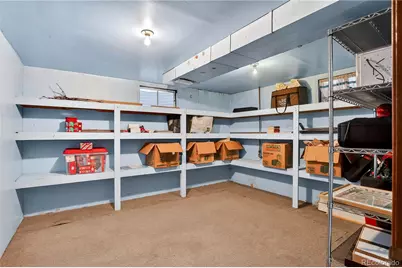 13226 Canopus Drive, Lone Tree, CO 80124 - Photo 31