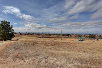 13226 Canopus Drive, Lone Tree, CO 80124 - Photo 45