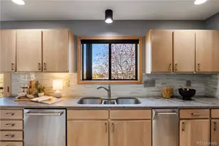 46465 Black Spruce Ln, Parker, CO 80138 - Photo 13