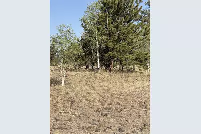 3031 McDowell Drive, Como, CO 80432 - Photo 3
