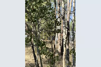 3031 McDowell Drive, Como, CO 80432 - Photo 5